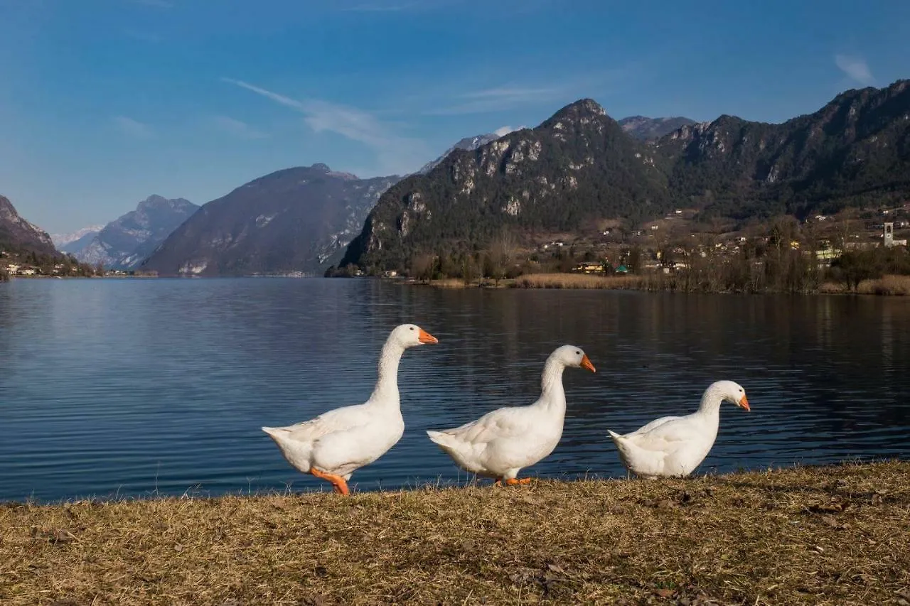 Bed and breakfast B&B Tulipano Crone Italia